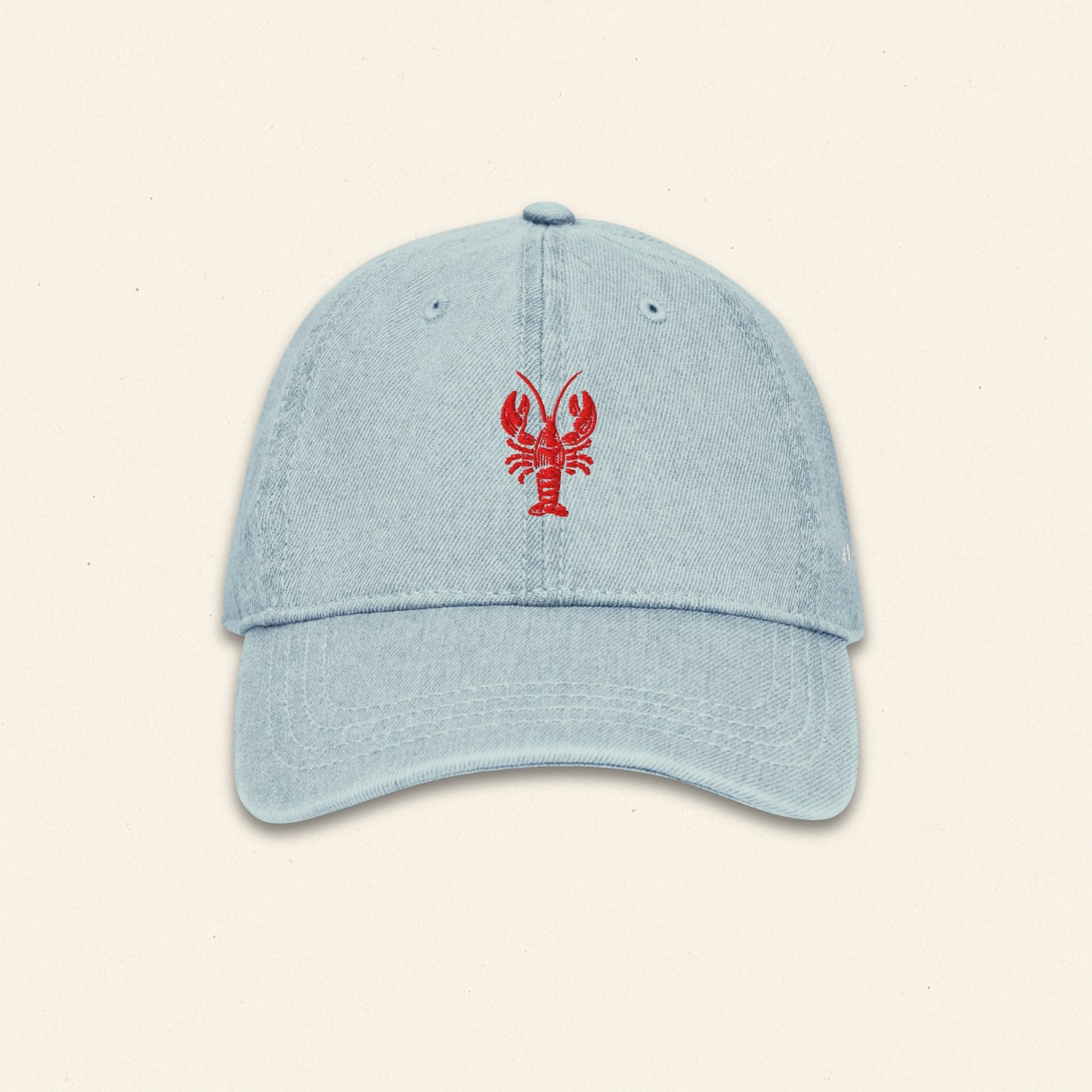 The Catch Denim Cap