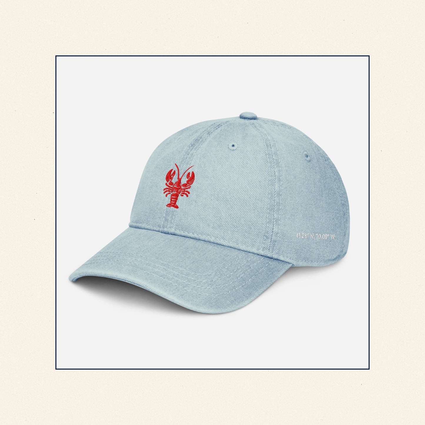 The Catch Denim Cap