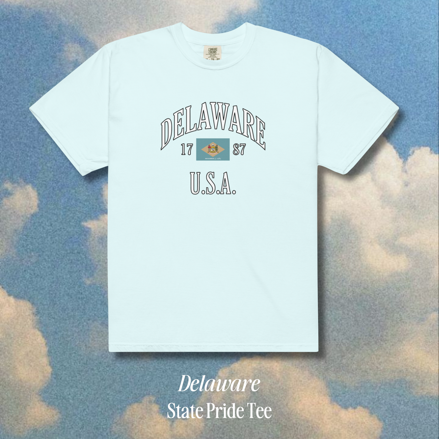 Delaware State Pride Tee